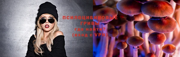 MDMA Богородицк
