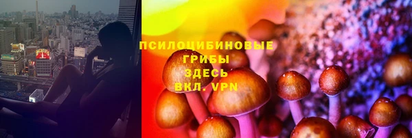 MDMA Богородицк