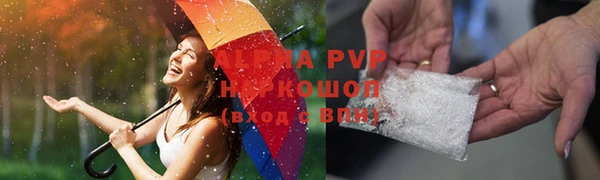 spice Богданович