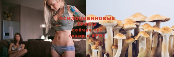spice Богданович