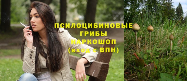 spice Богданович