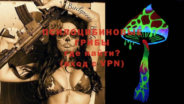 spice Богданович