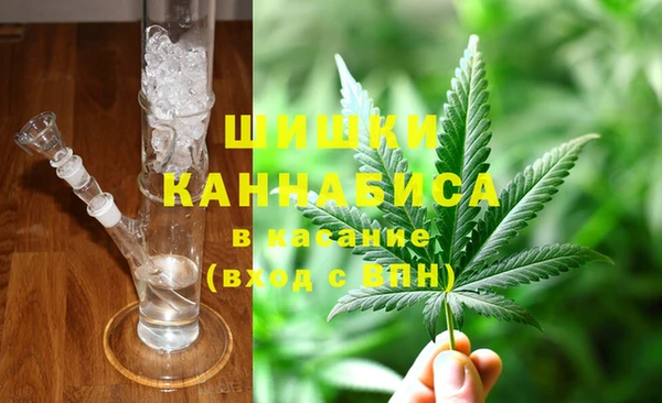 spice Богданович